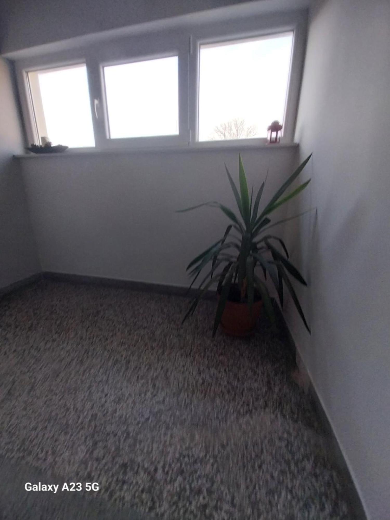 Apartman Bloom Apartment Osijek Bagian luar foto